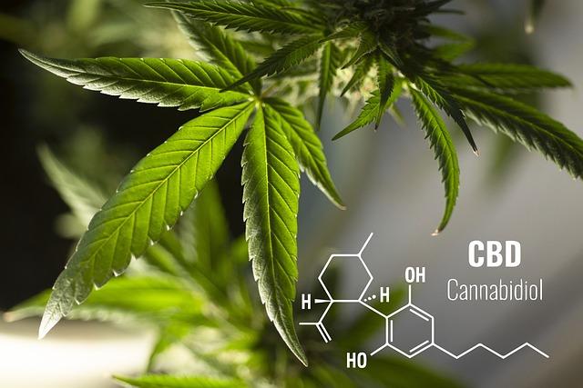 Jak správně dávkovat Cannabidiol (CBD)